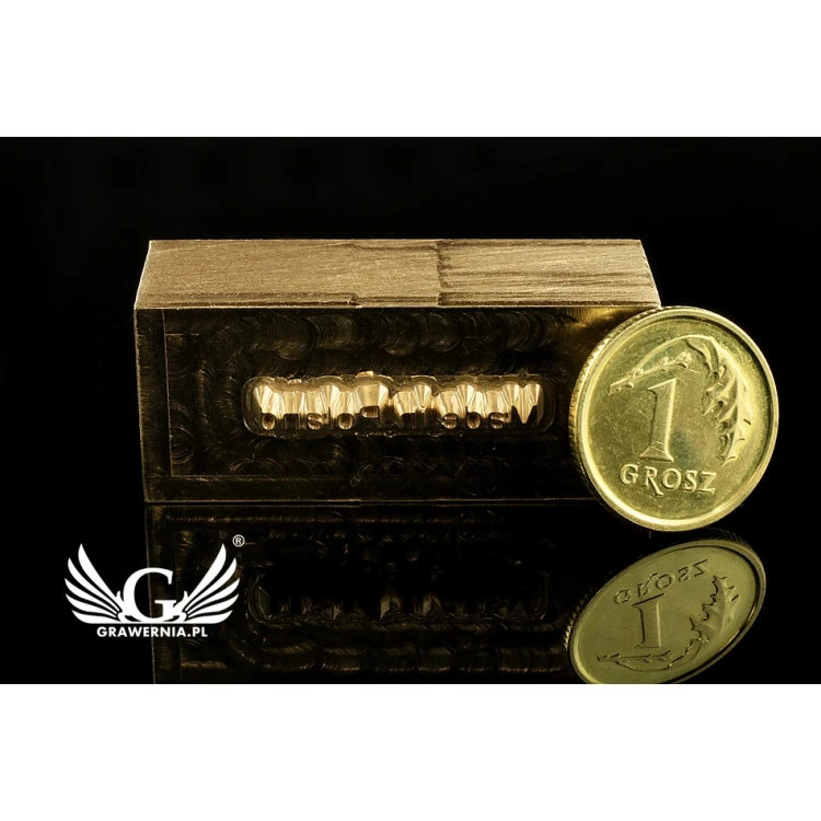 Stempel zum Prägen von Logos im Heiß- und Kaltverfahren - Matrizengröße: 36x15mm - CNC
