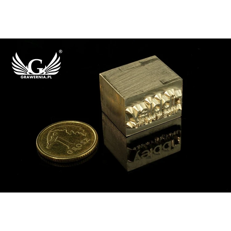 Stampfer zum Prägen von Logos im Heiß- und Kaltverfahren - Matrizengröße: 17x12mm - CNC