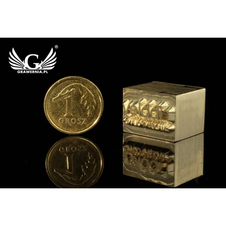 Stampfer zum Prägen von Logos im Heiß- und Kaltverfahren - Matrizengröße: 17x12mm - CNC