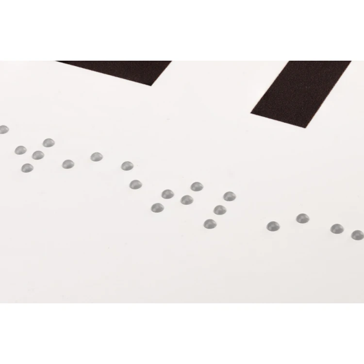Gemeinschaftsraum - Tür- oder Wandtafel mit Braille-Schrift - Größe 310x100mm - PVC - UV-Druck - TAB286
