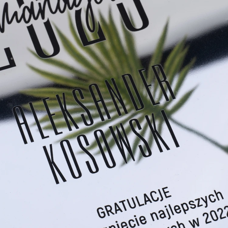 Glas Anerkennungsurkunde - Spiegellaminat lasergraviert - DSZ054