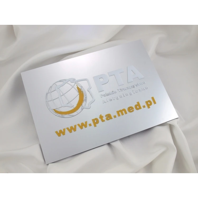FIRMENSCHILD 100% ERHÖHT - Silber - SZ055 - Format A4 Abmessungen 297x210mm