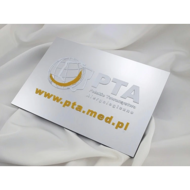 FIRMENSCHILD 100% ERHÖHT - Silber - SZ055 - Format A4 Abmessungen 297x210mm
