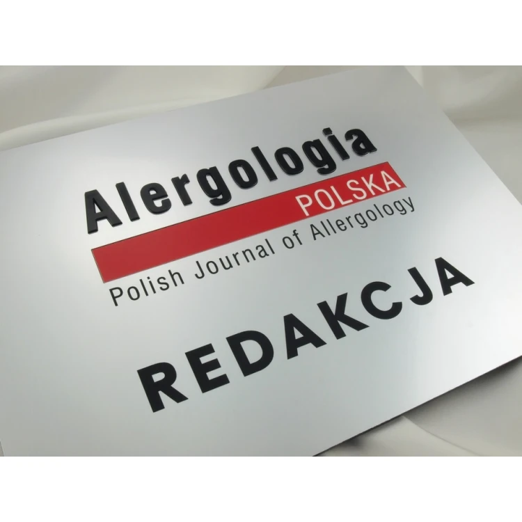 FIRMENSCHILD - silber - SZ056 - Format A4 Abmessungen 297x210mm