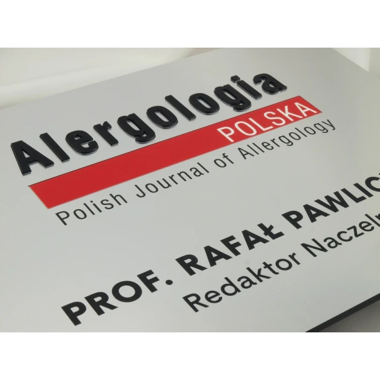 FIRMENSCHILD - silber - SZ056 - Format A4 Abmessungen 297x210mm