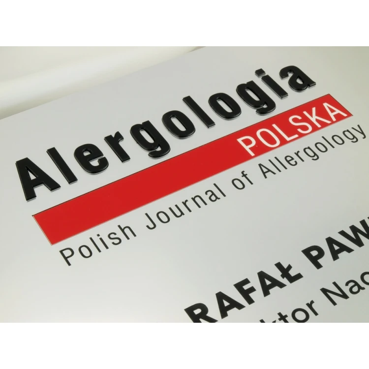 FIRMENSCHILD - silber - SZ056 - Format A4 Abmessungen 297x210mm