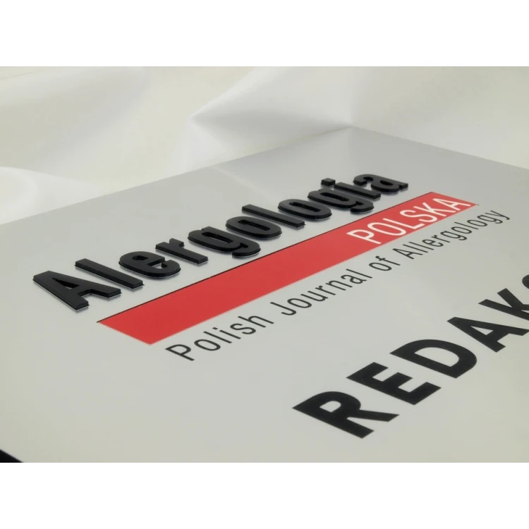 FIRMENSCHILD - silber - SZ056 - Format A4 Abmessungen 297x210mm