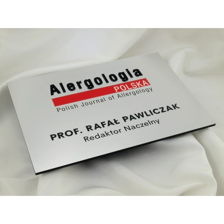 FIRMENSCHILD - silber - SZ056 - Format A4 Abmessungen 297x210mm
