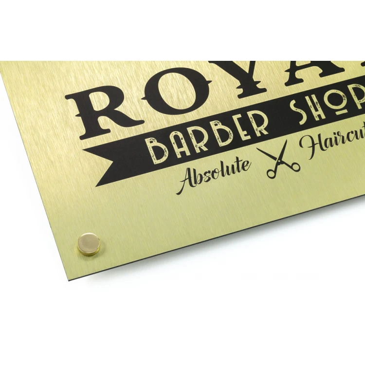 Firmenschild - gebürstetes Gold Dibond 3mm - UV-Druck - Abm. 420x297mm (A3) - SZUV018