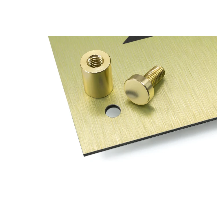 Firmenschild - gebürstetes Gold Dibond 3mm - UV-Druck - Abm. 420x297mm (A3) - SZUV018