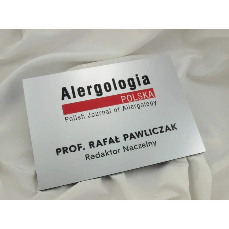 FIRMENSCHILD - silber - SZ056 - Format A4 Abmessungen 297x210mm