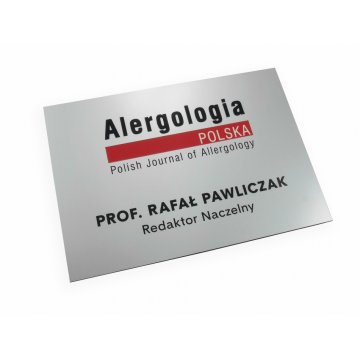 FIRMENSCHILD - silber - SZ056 - Format A4 Abmessungen 297x210mm
