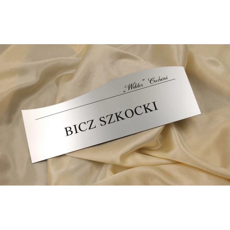 Türschild - SZ006 - Abm. 280x100mm