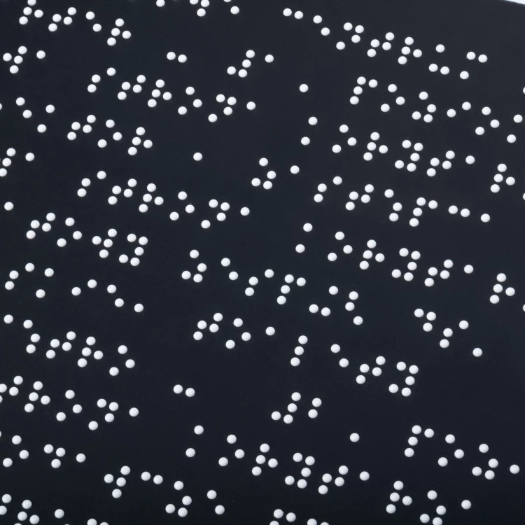 Tafel mit Brailleschrift - mattes schwarzes Acryl - Abm. 600x450mm - DARK - TAB536