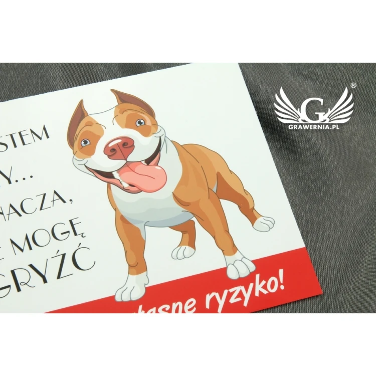 Warnschild - Böser Hund - PVC-Material - Abm. 210x150mm - TZP004