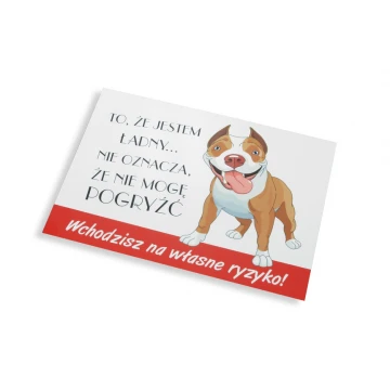 Warnschild - Böser Hund - PVC-Material - Abm. 210x150mm - TZP004