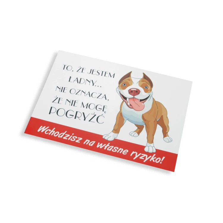 Warnschild - Böser Hund - PVC-Material - Abm. 210x150mm - TZP004
