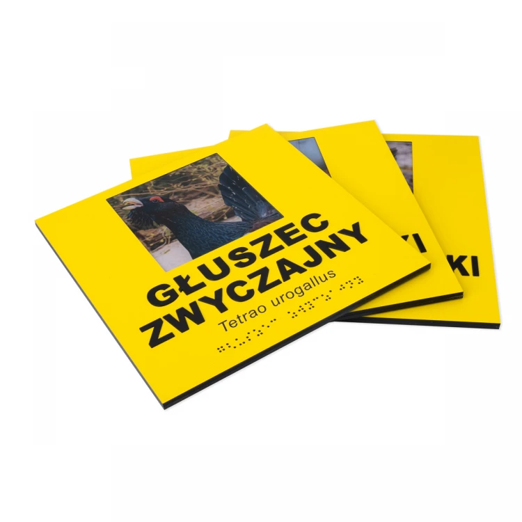 Informationsplaketten mit Foto, beliebigem Text und Braille-Schrift - Abm. 210x210mm - TAB492