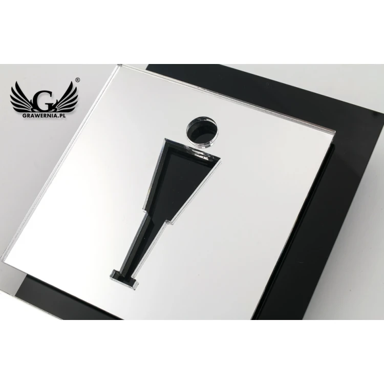 Toilettenschilder in Schwarz und Spiegelplexi - Abm. 100x145mm - TT031