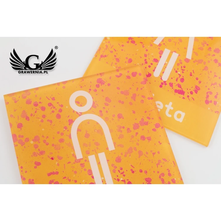 Plexiglas-Schilder für Toiletten - Größe 100x120mm - UV-Druck - TT026