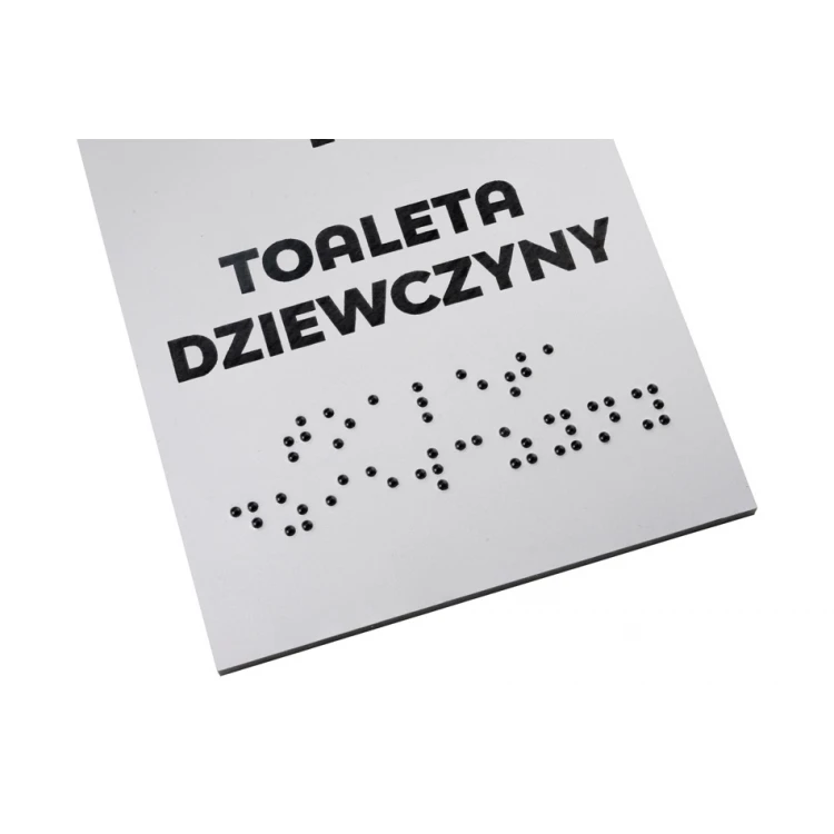 Toilette - Schild für die Schule mit Brailleschrift - silbernes Laminat 3mm - Abm. 80x150mm - TAB340