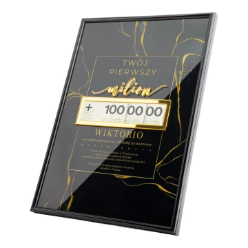 Deine erste Million - das perfekte Geschenk zum 18. Geburtstag - Format 160x220mm - DS043