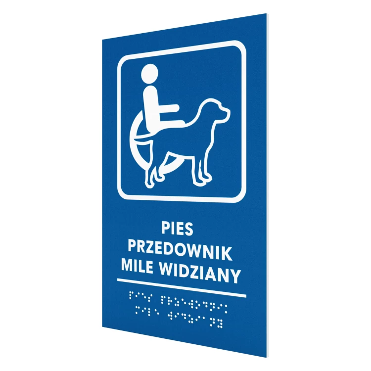 Braille-Türschild für Blinde - Größe 300x150mm - TAB706