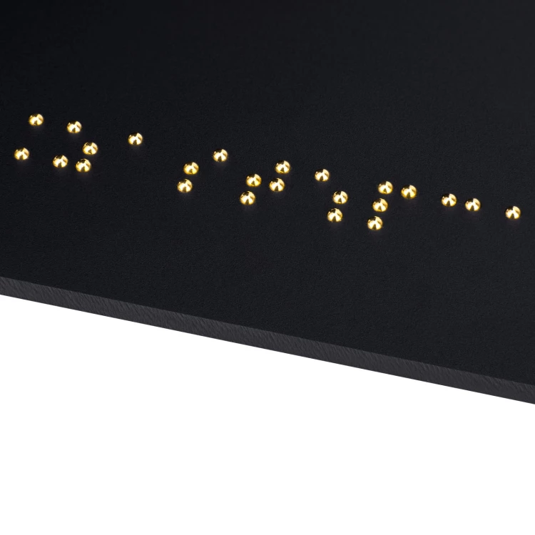 Toilette - Braille-Schild - Größe 150x60mm - TAB595