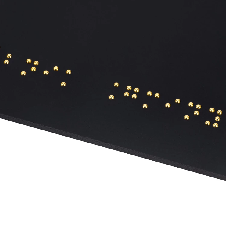 Toilette - Braille-Schild - Größe 150x60mm - TAB595