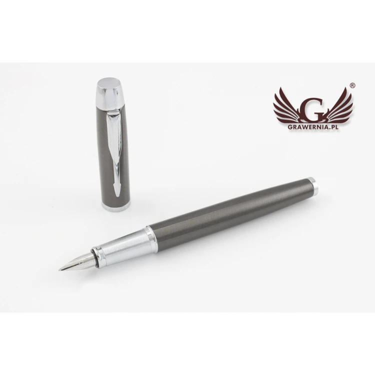Ewiges Füllfederhalter PARKER IM Gun Metal CT - PAR105-P-SW